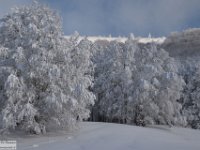 2017-12-29 V. del Morretano 073